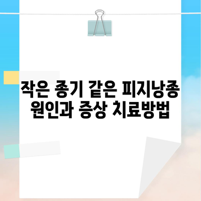 작은 종기 같은 피지낭종 원인과 증상 치료방법