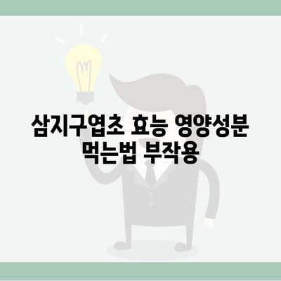 삼지구엽초 효능 영양성분 먹는법 부작용