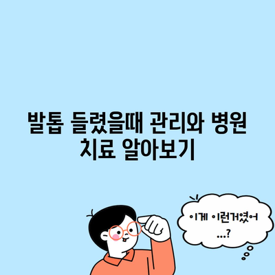 발톱 들렸을때 관리와 병원 치료 알아보기