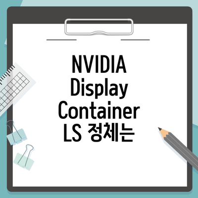 NVIDIA Display Container LS 정체는