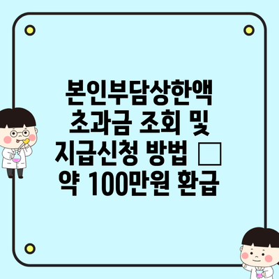 본인부담상한액 초과금 조회 및 지급신청 방법 – 약 100만원 환급