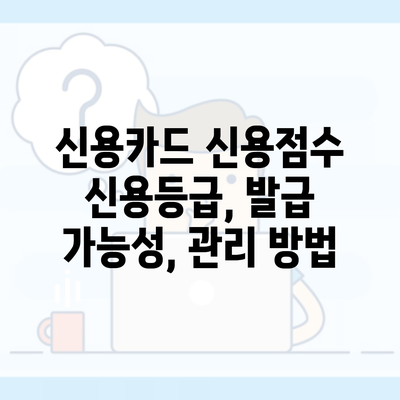 신용카드 신용점수 신용등급, 발급 가능성, 관리 방법