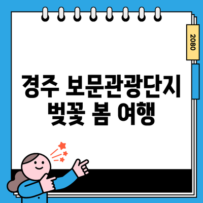 경주 보문관광단지 벚꽃 봄 여행