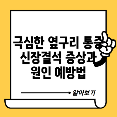 극심한 옆구리 통증 신장결석 증상과 원인 예방법