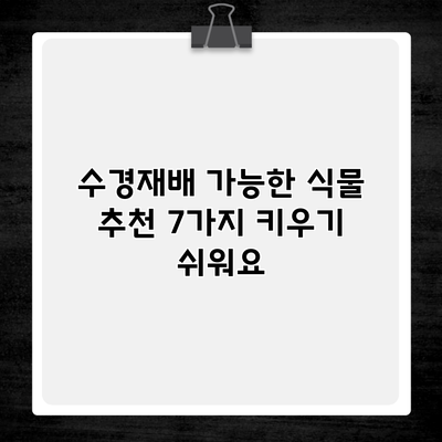 수경재배 가능한 식물 추천 7가지 키우기 쉬워요