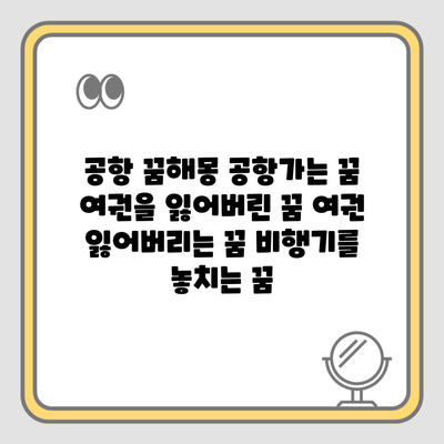 공항 꿈해몽 공항가는 꿈 여권을 잃어버린 꿈 여권 잃어버리는 꿈 비행기를 놓치는 꿈