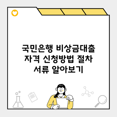 국민은행 비상금대출 자격 신청방법 절차 서류 알아보기