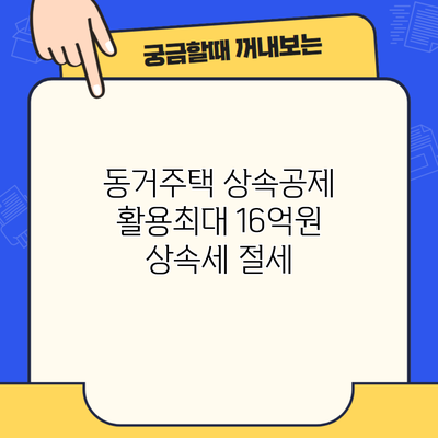 동거주택 상속공제 활용최대 16억원 상속세 절세