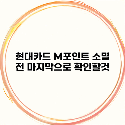 현대카드 M포인트 소멸 전 마지막으로 확인할것