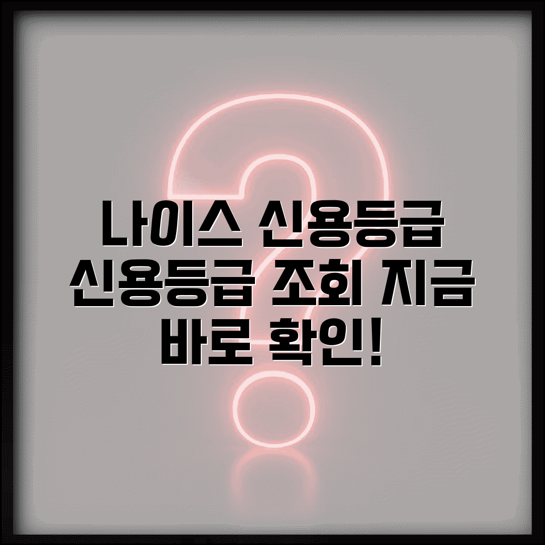 신용등급 나이스 크레딧 | 나이스 신용평가 등급 조회