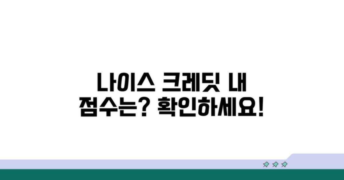 나이스 크레딧, 나의 점수는 얼마일까