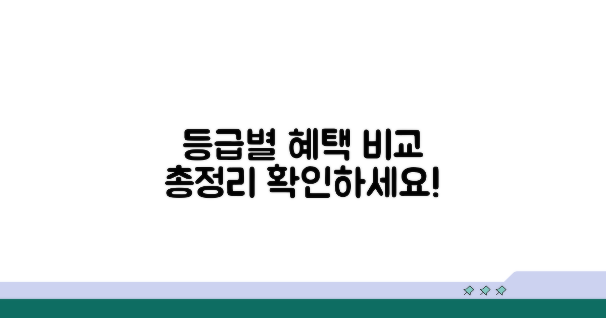 등급별 지원 내용과 혜택 비교