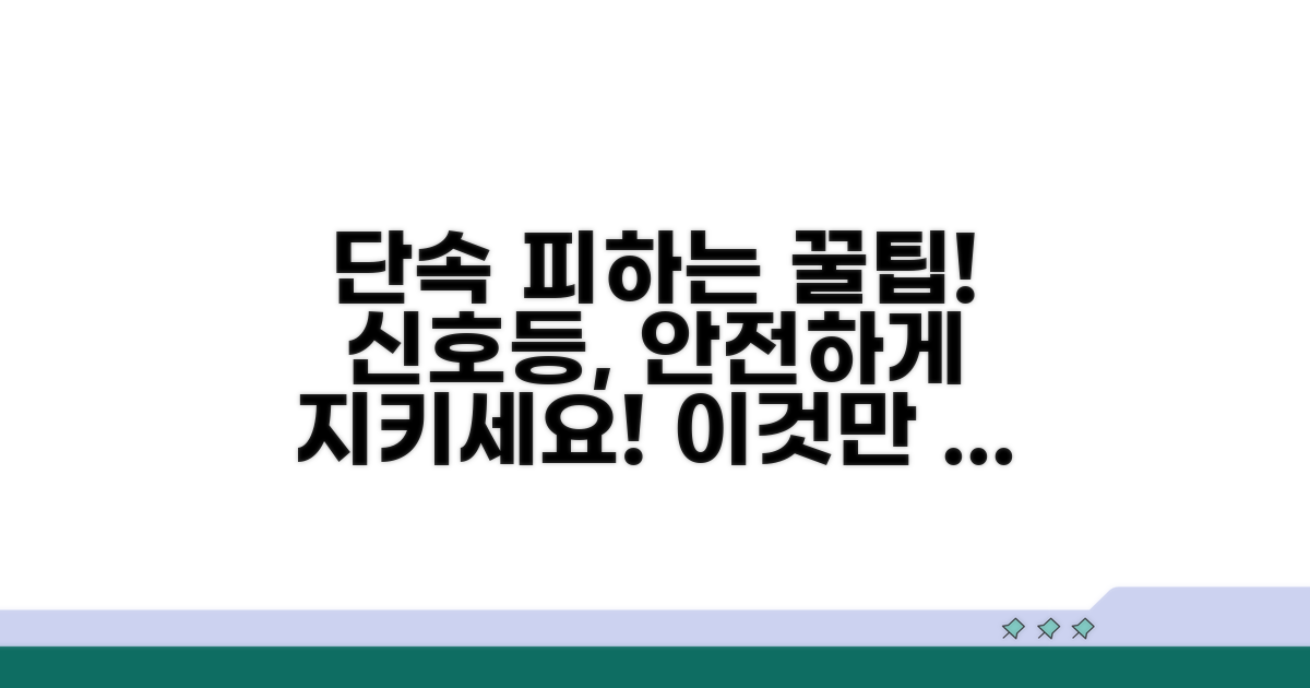 단속 피하는 신호등 지키기