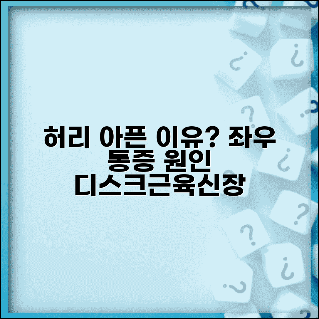 허리 통증 원인 왼쪽 오른쪽 | 허리 아픈 이유 디스크 근육 신장