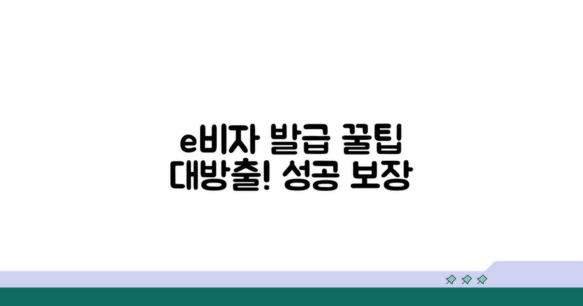 e비자 발급 성공을 위한 꿀팁