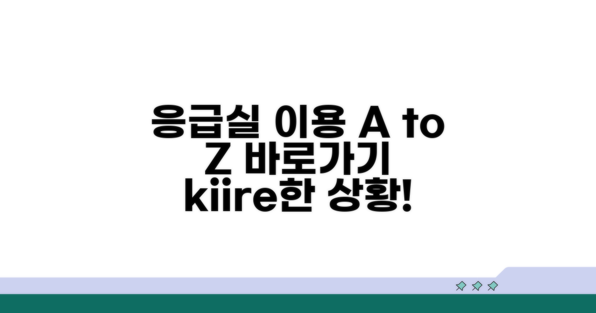 단계별 응급실 이용 절차